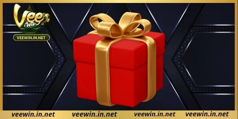 ประเภทหลักของ โปรโมชั่น veewin