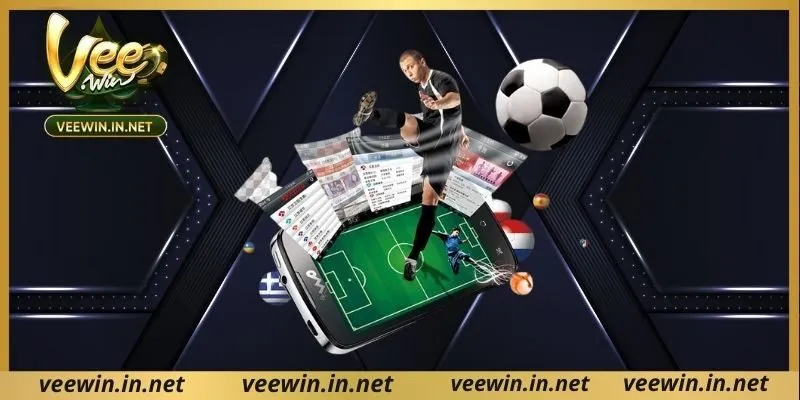 ประเภทการเดิมพันยอดนิยมใน กีฬา veewin