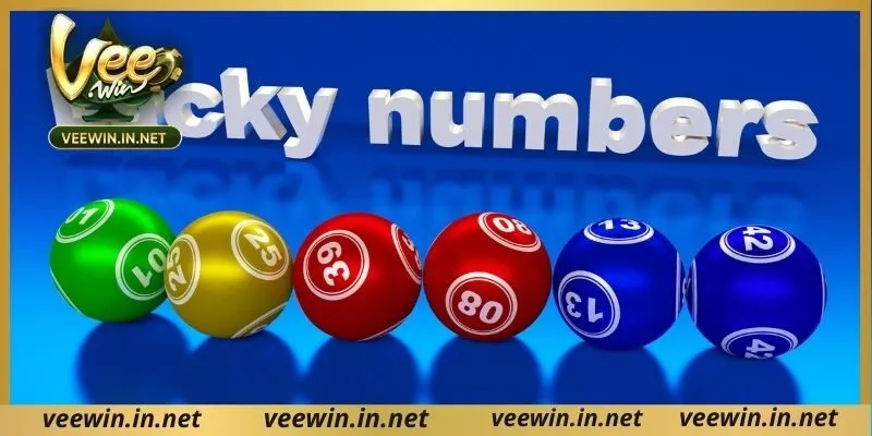 ขั้นตอนการเล่นลอตเตอรี veewin แบบง่ายที่สุด